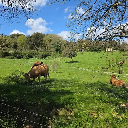 Gallura 招待所 4*